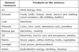 Explain The Role Of Human Resources In Converting Natural Resources Into Valuable
