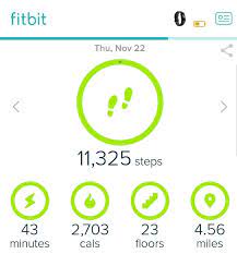 Solved How To Get The Fitbit Flight Game Fitbit Community