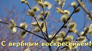 Загрузите потрясающие бесплатные изображения о вербное воскресенье. 12 Aprelya Verbnoe Voskresene Youtube