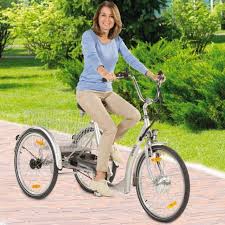 Das Elektro Dreirad Erhalt Ihnen Ihre Mobilitat Im Alltag Die 3 Rader Sowie Der Dreirad Transport Fahrrad Elektro Rad