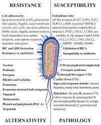 For illness caused by e. Frontiers Uropathogenic Escherichia Coli Upec Infections Virulence Factors Bladder Responses Antibiotic And Non Antibiotic Antimicrobial Strategies Microbiology