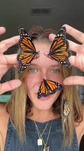 ELEVEN new babies today!!! #butterflymom #raisingbutterflies  #caterpillarvlogs #monarchs #monarchbutterfly