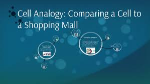 In plant cells, chloroplasts assist the plants in performing photosynthesis. Cell Analogy Comparing A Cell To A Shopping Mall By Mackenzie Copeland