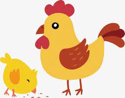 Cute Hen And Little Yellow Chicken Hen Clipart Chicken Vector Vector Material Png Transparent Clipart Image And Psd File For Free Download Free Logo Psd Chicken Vector Colorful Backgrounds