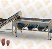 Dates Grading and Sorting Line - SmartMAK