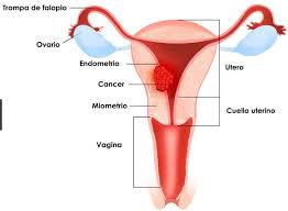 Pin En Salud