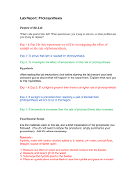 Lab Report Photosynthesis