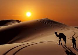 Join merzouga camel trekking for walking or riding camel safaris through the erg cehbbi dunes. Morocco Camel Trekking Overnight Camel Trek Merzouga