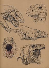 Yet it is a very simple animal to draw because of the chunkiness of the body. Artstation Komodo Dragon Floris Van Der Peet