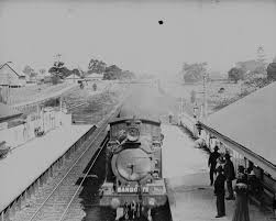 Old Photos Shorncliffe Brisbane Google Search Glasshouse Mountains Old Photos Saint Helena Island