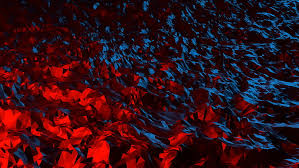 Red white and blue backgrounds. 3d Low Poly Abstract 3d Abstract 3d White Tigers Red Abstract Paper Hd Wallpaper Wallpaperbetter