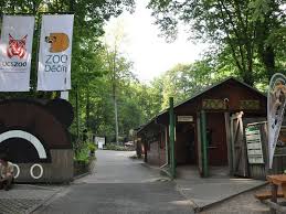 We have all of your designer footwear. Zoo Decin In Decin Czech Republic
