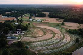 His Ancestors Were Enslaved at This Plantation. Now, He Owns It.