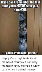 We did not find results for: If You Can T Remember The Last Time You Werealone Inyour Bathroom You May Be A Cat Person Happy Caturday Cats Cat Memes Caturday Caturday Memes Funny Memes