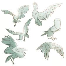 Tumblr O6qbr0nffk1saafayo1 1280 Jpg 1200 1200 Creature Concept Art Bird Drawings Owls Drawing