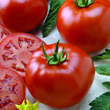 Tips for growing better boy tomatoes. Better Boy Hybrid Tomato Seeds Vfn 2305 Osc Seeds