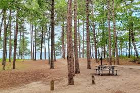 Lawrence as he focuses his camera and. Twelvemile Beach Campground Pics Things To Do Nearby Pictured Rocks Camping Along Lake Superior Up Michigan Travel Blog Flashpacking America
