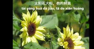 如果花会说话if flowers could speak learn mandarin mandarin chinese speaking english