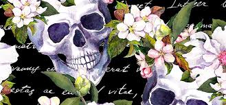 Draw two circles and draw a grid, as shown in the figure. How To Draw A Skull Step By Step Adobe