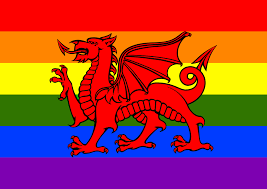 It is a very clean transparent background image and its resolution is 765x766 , please mark the image source when quoting it. Rainbow Flag Wales Icons Png Free Png And Icons Downloads