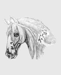 For the first few steps, don't press down too hard with your pencil. Mustang Head Portrait Drawing By Equus Artisan