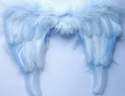 Baby Boy Angel Wings Feathers Blue