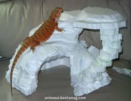 Epingle Par Chlzf Sur Terrariums Gecko En 2020 Gecko Leopard Pogona L Incroyable