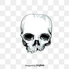 Wings Skull Skull Clipart Wing Cartoon Png Transparent Clipart Image And Psd File For Free Download Winged Skull Skull Skull Logo