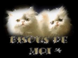 Rsultat de recherche d'images pour "kikou gif comique"