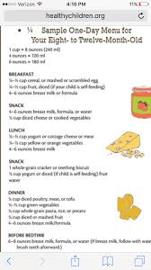 14 Month Old Baby Food Routine 100 Best Healthy Food