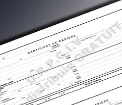 A dispărut ideea ca în certificatul de înmatriculare al fostului proprietar să mai fie trecută transmiterea dreptului de proprietate Acte Auto Bucuresti Inmatriculari Auto Radieri Auto