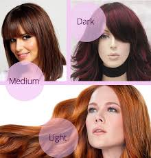 Cinnamon Hair Color Dark Medium Light Shades Chart Cinnamon Hair Colors Cinnamon Hair Hair Color