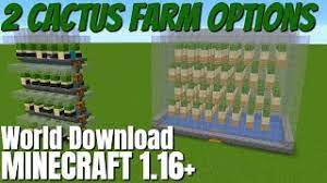 Leave a like comment follow. How To Make A Cactus Farm In Minecraft 1 16 Two Minecraft Cactus Farm Choices For 1 16 2020 Youtube