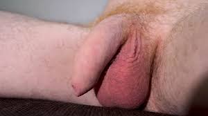 Primer plano del prepucio y la polla naturalmente suave