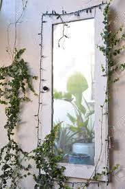 The mirror is equipped with internal led light hidden behind the mirrored section. Old Mirror With Vines In The Garden Stock Photo Picture And Royalty Free Image Image 37184744