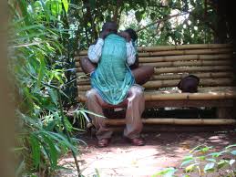 Some of this article's listed sources may not be reliable. M K U Student In Muliro Gardens Saga Mnomest