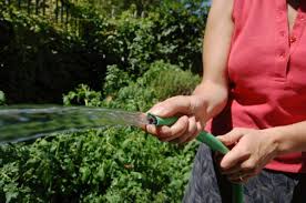 Sammy walsh lingerie positive initial encounter for me but