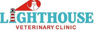Sugar land pet hospital texas. Veterinary Clinic Sugar Land Tx Veterinarian Near Me Lighthouse Veterinary Clinic