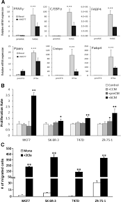 Cancer can be defined as an uncontrolled growth or reproduction of abnormal cells in the body. Interaction With Adipocyte Stromal Cells Induces Breast Cancer Malignancy Via S100a7 Upregulation In Breast Cancer Microenvironment Breast Cancer Research Full Text