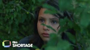 WHEN THE SKY GOES GREEN