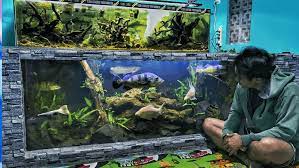 Dengan warna yang indah serta bentuk yang beraneka ragam membuat ikan hias itu sendiri selalu berhasil memakau siapapun yang melihatnya. Cara Budidaya Ikan Menguntungkan Dan Anti Bangkrut Lengkap
