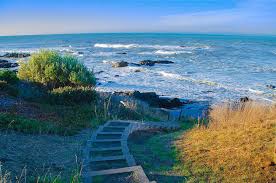 We did not find results for: Path To Paradise Little Black Sands Beach Shelter Cove Calif Photograph By Bill Cannon