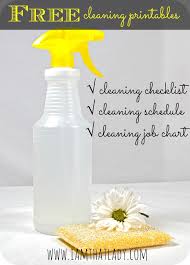 Daily Cleaning List