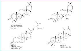 Image result for Laggera elatior