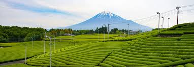 Share your videos with friends, family, and the world é™å²¡çœŒã¸ã®ç§»ä½ ä»•äº‹æŽ¢ã—ã®ç§˜è¨£ã‚'ç´¹ä»‹ ç§»ä½å‰ã«é™å²¡çœŒã®ä½ã¿å¿ƒåœ°ã‚„è»¢è·å¸‚å ´ã‚'ãƒã‚§ãƒƒã‚¯