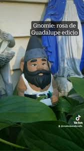 Jaunita The Gnome Freeridge｜Tiktok Search, 40% Off