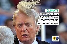 Molly Scott Cato: Trump is waging war