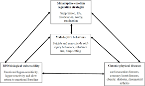 Image result for Cluster B Personality Disorder