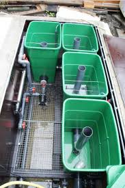 N A Koifishponds Aquaponics System Naturschwimmbecken Koiteich