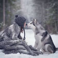 Pin By Nikolaj Aleksandrovich On Beast Master Girl And Dog Animals Animals Beautiful